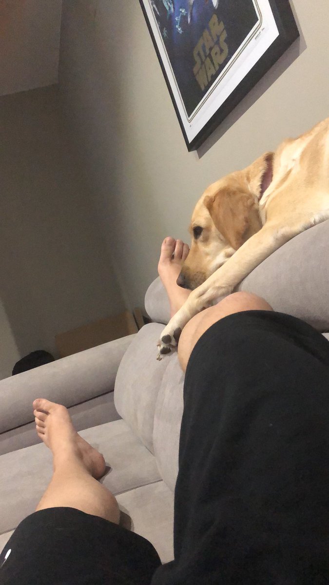 G4G_Revenant's tweet photo. Me he dado cuenta que tengo 50mil fotos de Tarja echándose la siesta xD cuantas queréis que os pase? 🧐 https://t.co/EuoKpeOw47