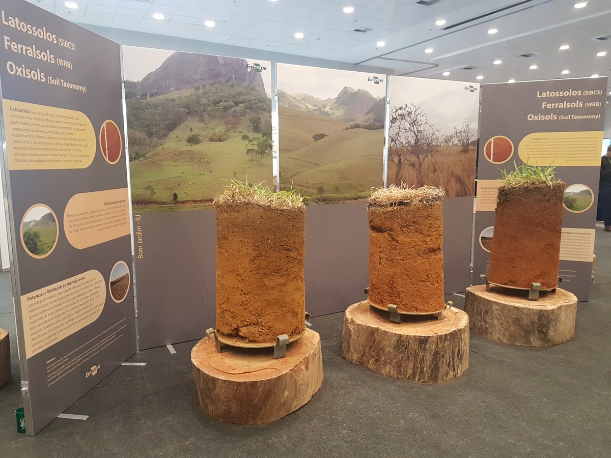 DrVanessaWong's tweet photo. These soil monoliths and soil colour library have been impressive. #wcssbrazil2018 #soil #soilmonolith #munsellcolour https://t.co/2gFSHqdL66