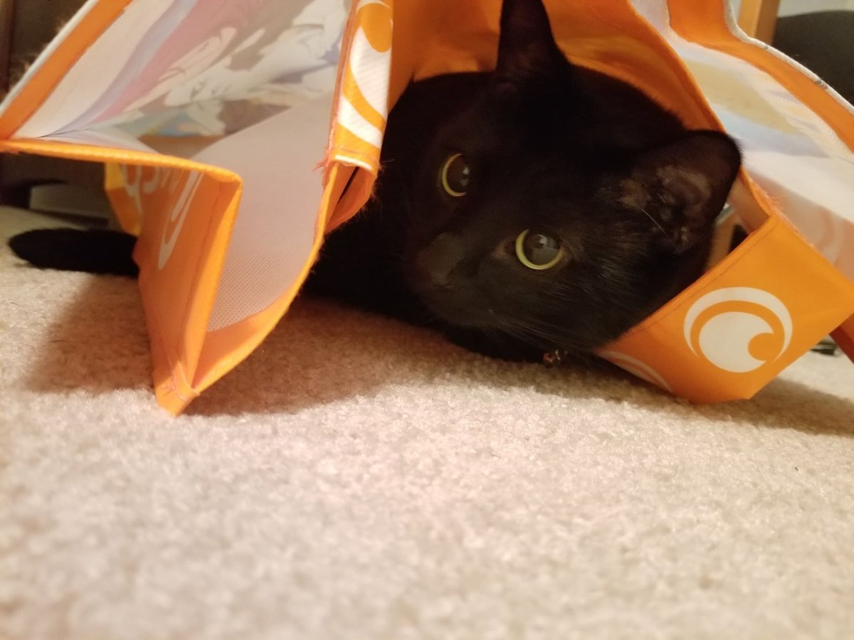 WokuColleen's tweet photo. Hey @Crunchyroll, if you want a new mascot, Mack accepts requests. https://t.co/RKMflpgjku