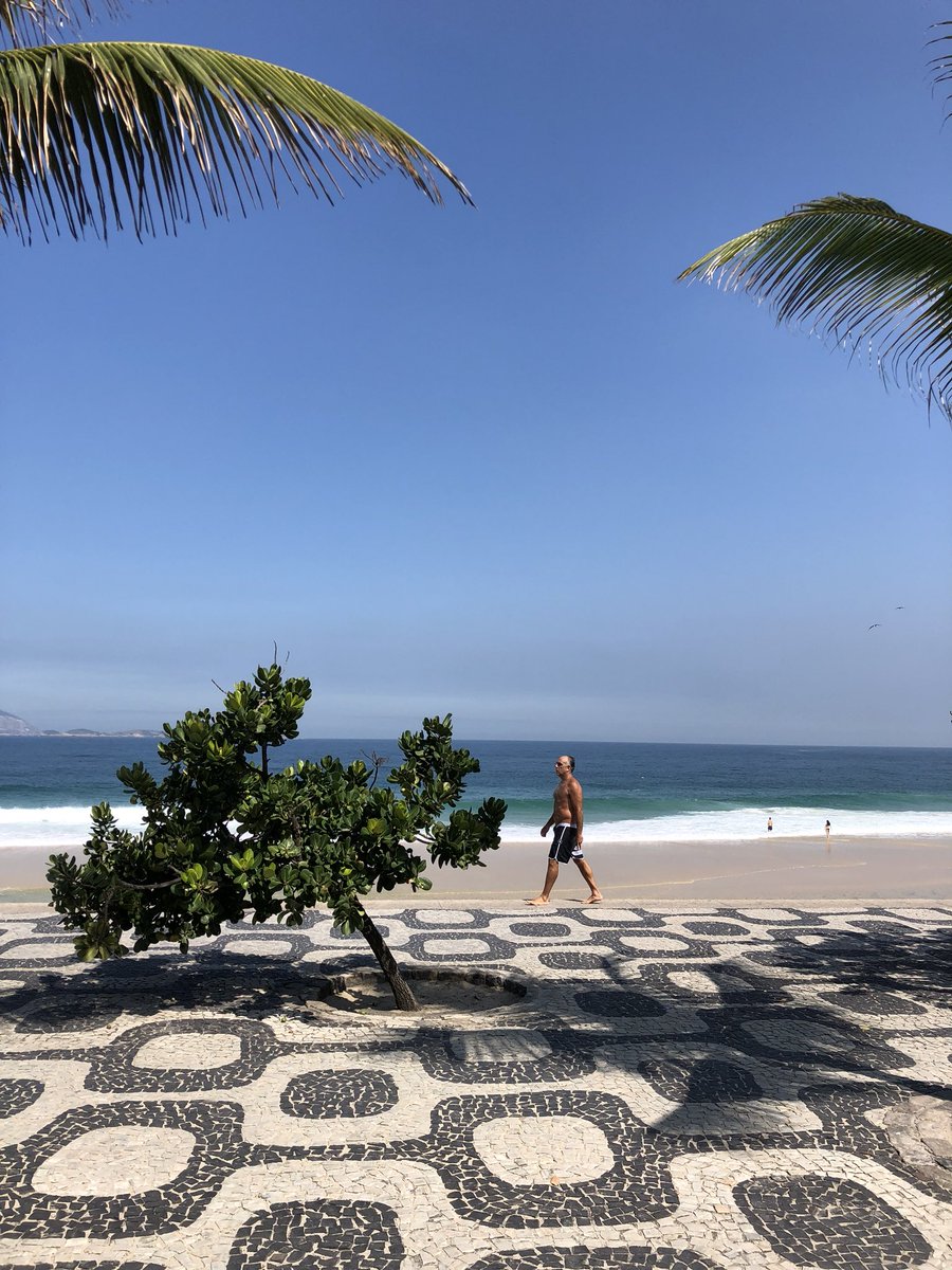 dgorin's tweet image. 