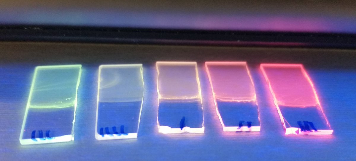 Science in the News (@sitnboston) on Twitter photo Europium and terbium are two rare earth elements that share a colorful similarity: they emit bright red and green light, respectively, when exposed to ultraviolet light
#sciart by <a href="/harvardphysics/">Harvard Physics</a> PhD student <a href="/andyman344/">Andy Greenspon</a> sitn.hms.harvard.edu/art/2018/ghost… Europium and terbium are two rare earth elements that share a colorful similarity: they emit bright red and green light, respectively, when exposed to ultraviolet light
#sciart by <a href="/harvardphysics/">Harvard Physics</a> PhD student <a href="/andyman344/">Andy Greenspon</a> sitn.hms.harvard.edu/art/2018/ghost…