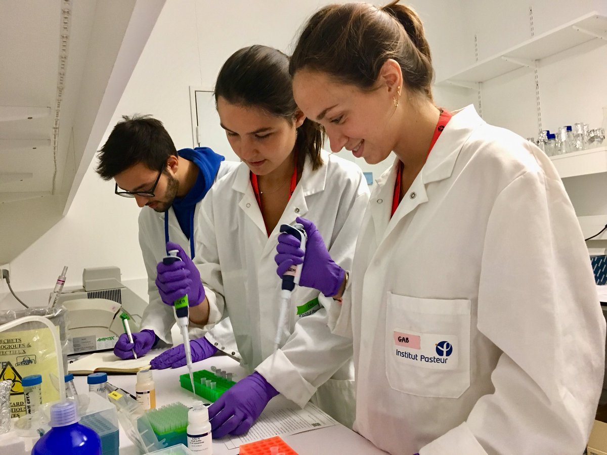 youtu.be/AI3sJbPGGCY #NeuronArch is finally here ! We happy to share it with you. Stay tuned we will soon share the link to participate to the project by a crowdfunding on the French platform Thellie ! We need your help and we hope that you'll find our project interesting!