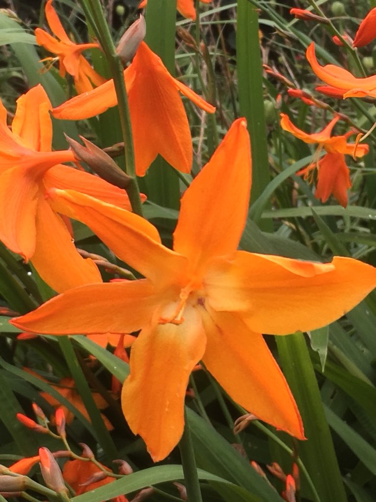 Harvey Stephens tweet media