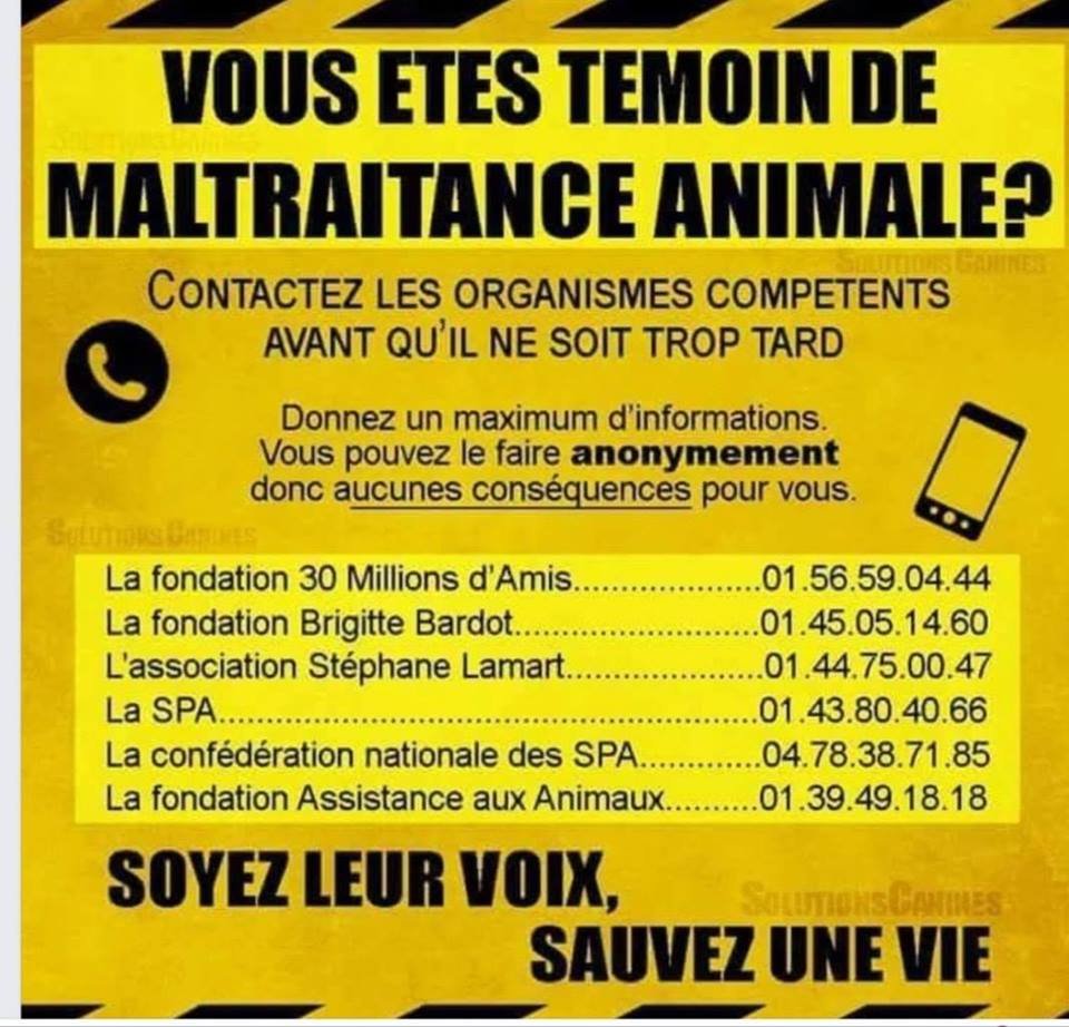 SyloooOooo's tweet image. 👇💪