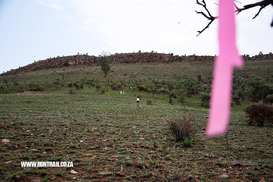 runtrailcoza's tweet photo. Climbing hills highveld style #runtrail #trailrunning #SouthAfrica 📷 @Busy2B_Dee https://t.co/AiIqVWUldG