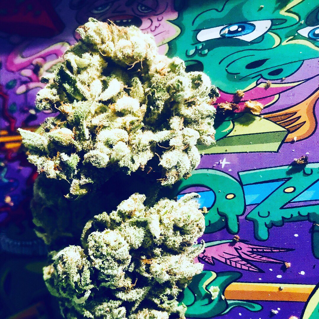 Lady Smokes A Lot tweet media