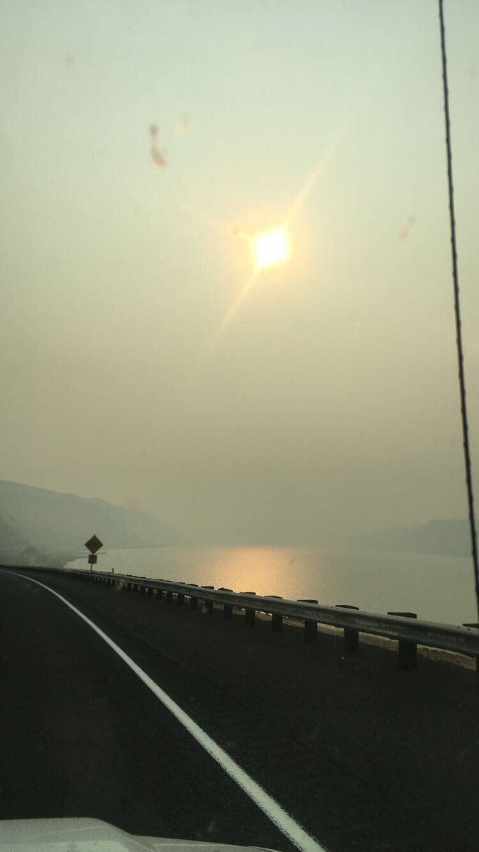 maybeetrinityy's tweet image. 