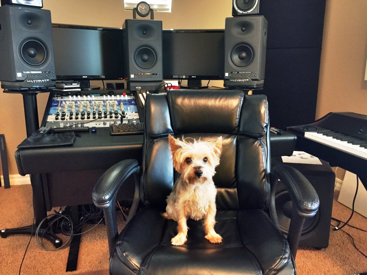 Charles Szczepanek tweet media