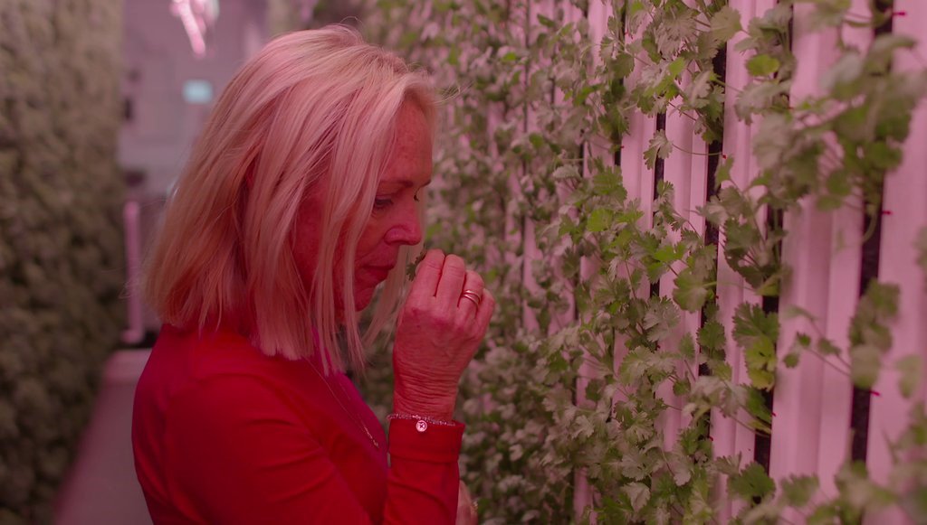 Watch @ModularFarmsAU in the new episode of @ABCcatalyst! Director @james_pateras walks @ProfCCollins through its #modularfarm at @EATSTREETMARKET, giving her a look into the future of farming. ab.co/2vIaIkF