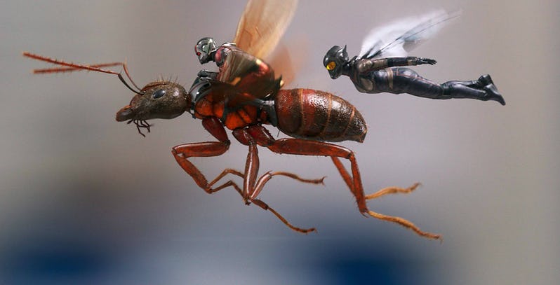 sylviatheater's tweet photo. Last showing of Ant-Man and the Wasp tonight at the @sylviatheater Aug. 16th Thurs. at 5:40 pm https://t.co/5YJN7ckp5p