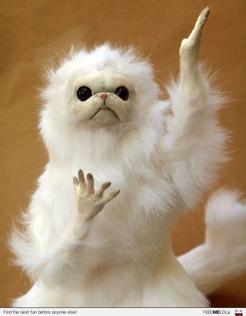 An0therAddict's tweet image. When you realize you’ve done all the same exact things to them as they have done to you.

What a reflection. 👀

Everything I’m resentful about in others, I’ve done myself. 

#xa #AA #4thstep