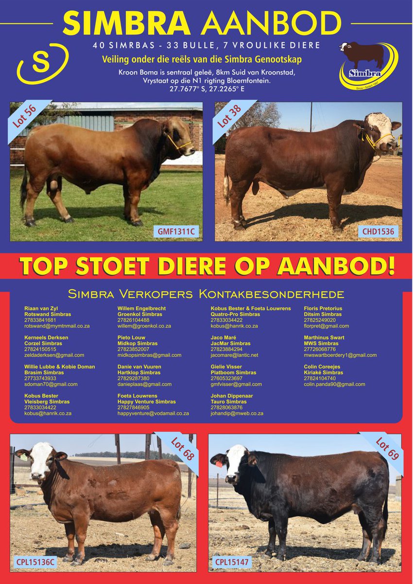 SimbraZA's tweet image. NATIONAL #SIMBRA AUCTION - Thursday 6 September 2018 at the Kroon Boma, Kroonstad. 40 SIMBRAS ON OFFER: 33 Bulls, 7 Females. Online catalogue available - abri.une.edu.au/online/cgi-bin…