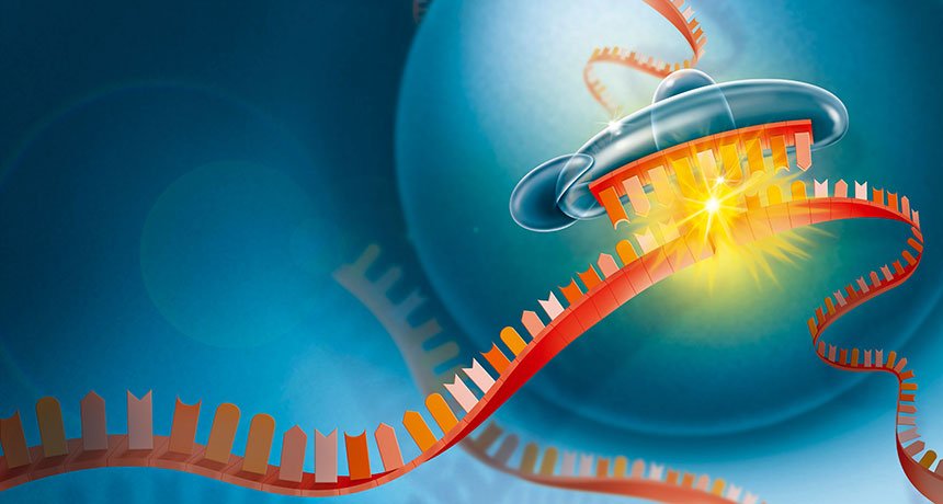 The FDA just approved the first drug that works via RNA interference. #Patisiran #GeneMutation #RNA #Science 

sciencenews.org/article/first-…