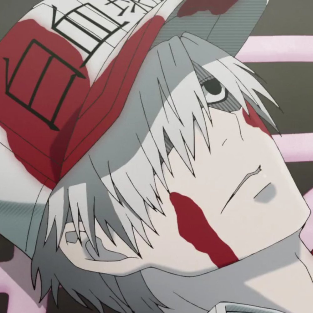 Hataraku Saibou U 1146 T Co 7u7s5lcbqi Twitter Hataraku Saibou U 1146 T Co 7u7s5lcbqi Twitter