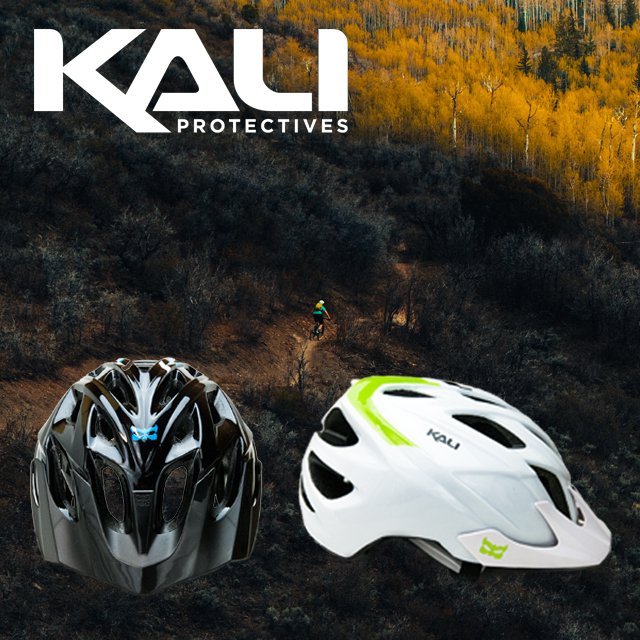 top brands in cycles