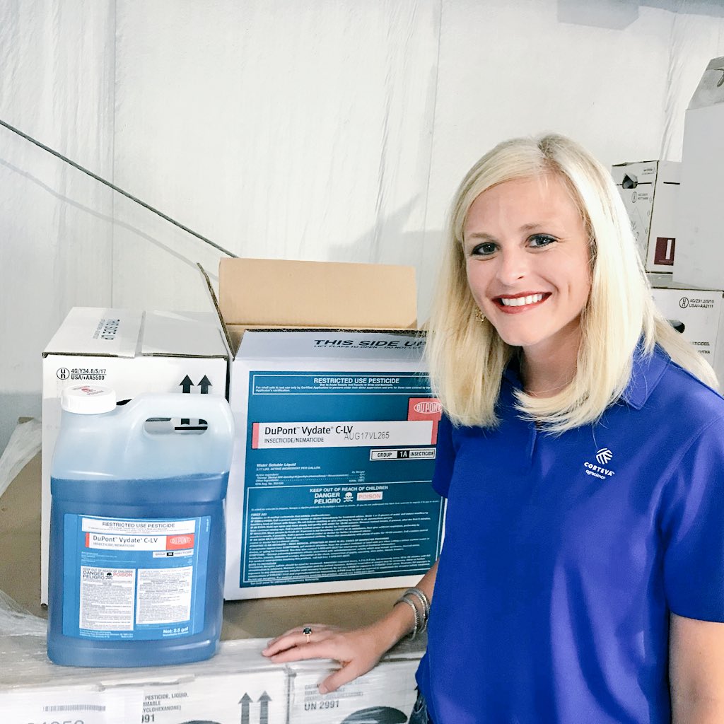 charlceyplum's tweet image. Stink bugs are hitting #oklahomacotton hard this year. Luckily we have Vydate back! It’s the BEST tool growers have to control stink bugs, and it doesn’t flair aphids. #vydate #stinkbugs #cotton #insectcontrol