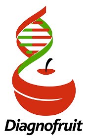 AMICH_Chile's tweet photo. Felicitamos a Héctor García, de @diagnofruit, uno de nuestro socios por la adjudicación de fondos CONICYT.
Así avanza la ciencia!!!!  
@EvelynSilvaMor2 @PAMushroom @Fungi4ThePeople https://t.co/q7EUaS4ihW