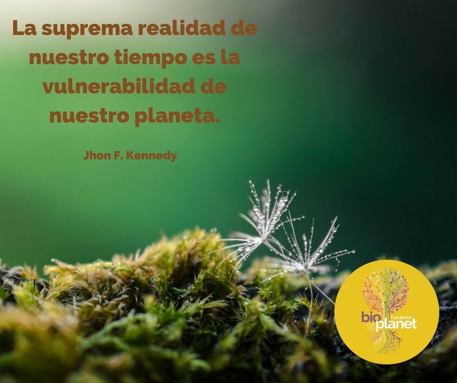 bioplanetorg's tweet photo. Es momento de crear conciencia ⏳🌍🌎🌏⚠️ #PiensaVerde ♻️🌱 https://t.co/CD7Wuh2pcZ