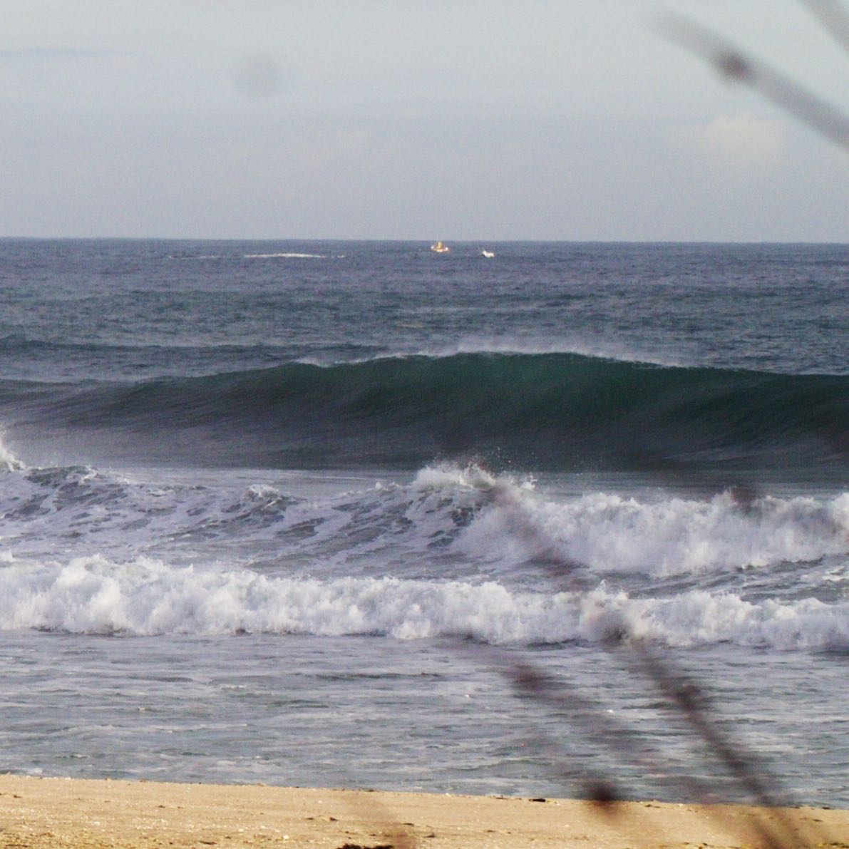 SETT Surf tweet media