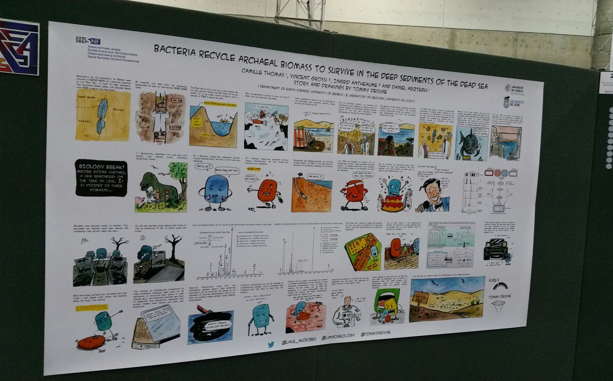 lakemicrobes's tweet image. #ISC2018 people, I&apos;ll be using the new and awesome @sedimentology  early career scientist corner to advertise my poster on bacterial strategy to survive in the Dead Sea sediment at 5pm. see you there or at poster 141 !