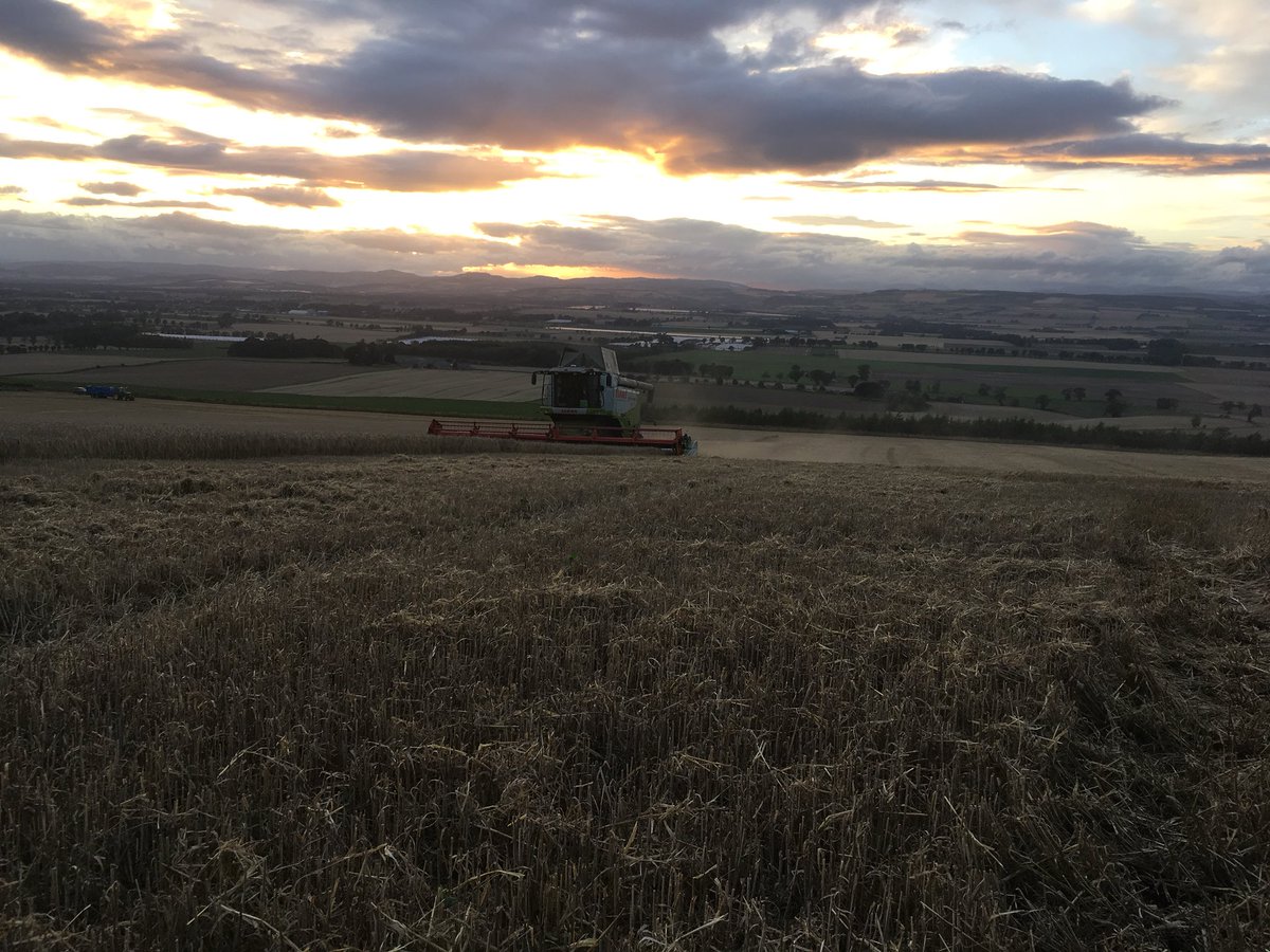 Tipperthomson's tweet photo. @FWharvest a catchy vale of strathmore tonight but we got some done today #barley #claas #Harvest18 https://t.co/U7el9McG4e