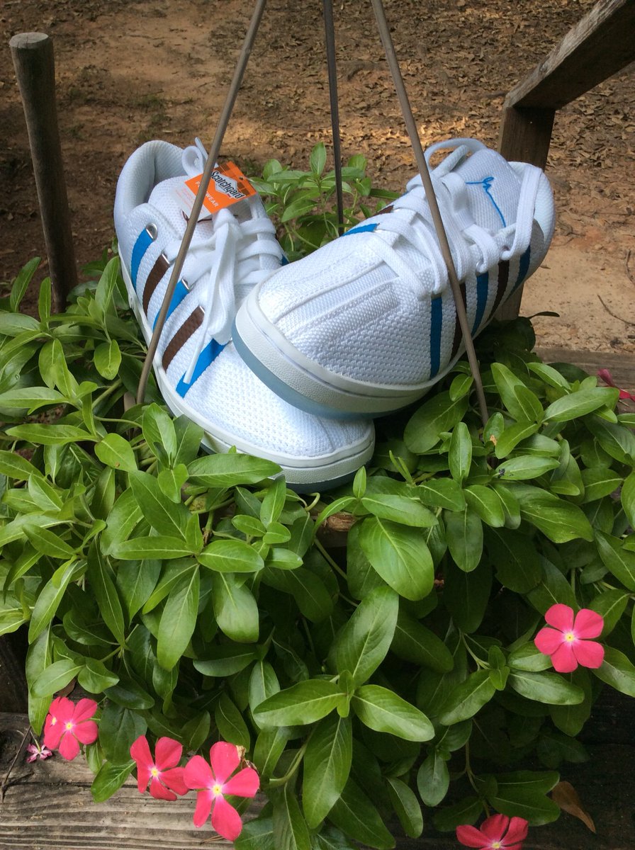 suntastic77's tweet photo. #CloudsAndDirt #GaryVee003 #BackGoSchool @KSWISS @garyvee 💙💚👟 https://t.co/iSH5GwlGD2