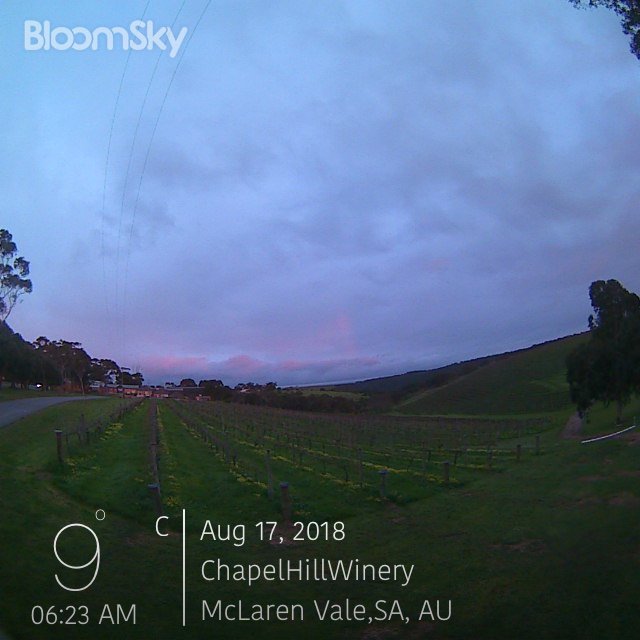 #ChapelHillWinery #McLarenVale #wx  Now: 9°C Today: ☁ 8°C - 12°C #BloomSky map.bloomsky.com/weather-statio…