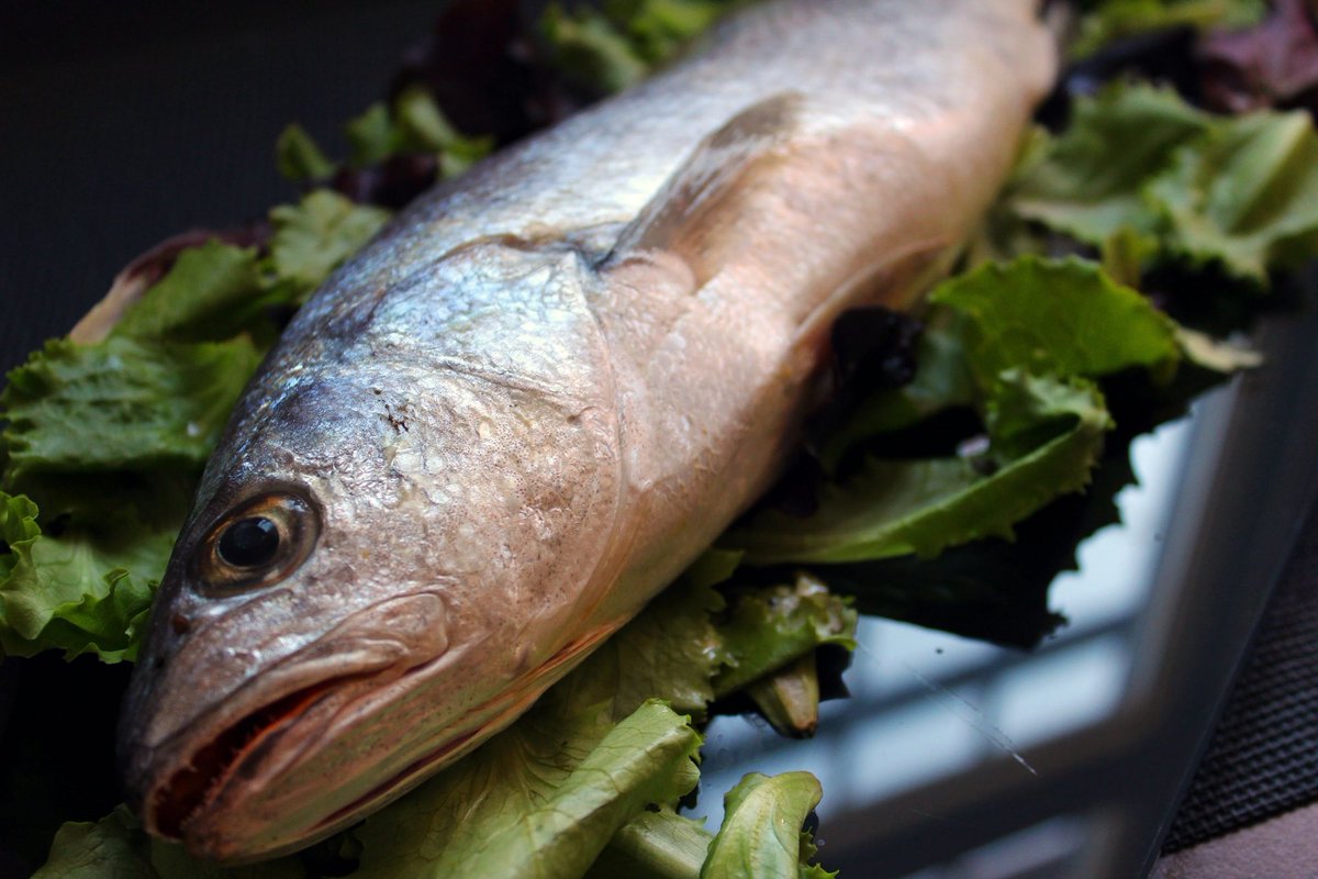 Sabanamar's tweet photo. Cuándo debes optar por el #pescado fresco y cuándo por el congelado https://t.co/0m3BvFq95B… https://t.co/DQPjyW95C1