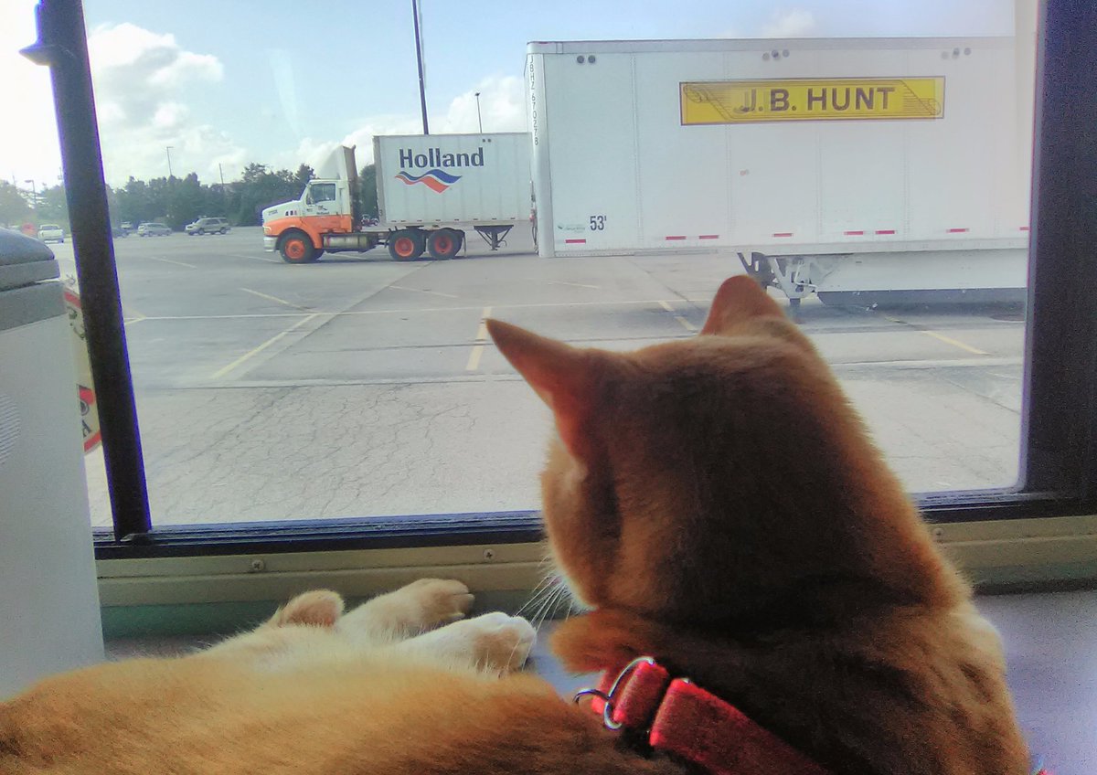 mostlylost_rv's tweet image. always did want to see the Netherlands 🤣