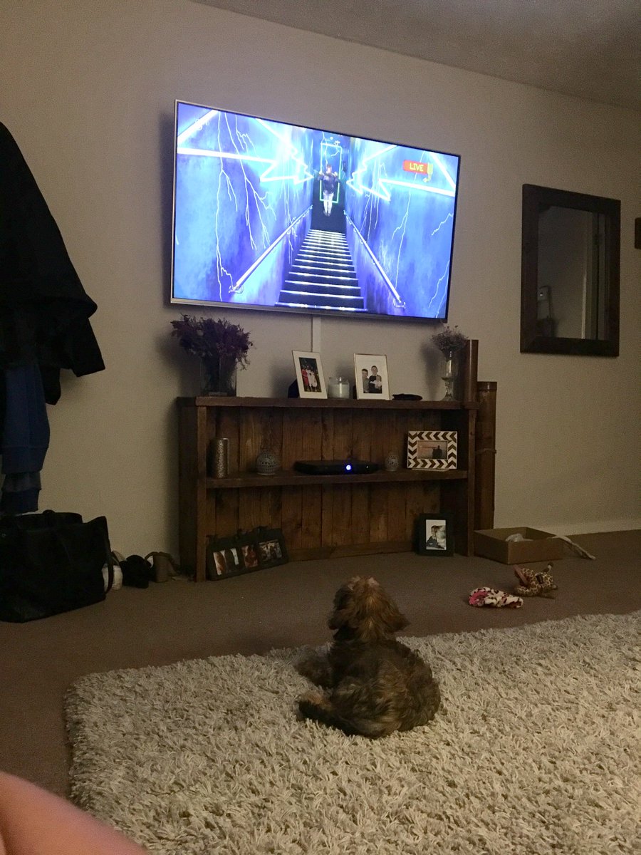 My puppy loving the new comers #CBBBOTS