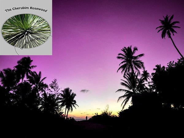 "...an incredible Christian story of survival and transformation. I loved this heartfelt journey!" THE CHERUBIM ROSEWOOD - Author Larry D. Shackelford #Free with #KindleUnlimited #OSFARG Amazon.com
