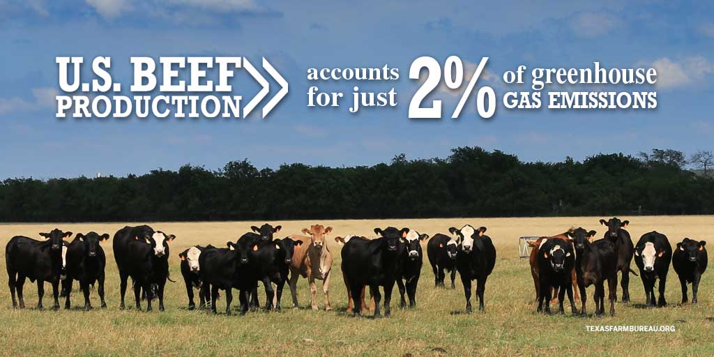 julietomascik's tweet image. Some say beef is the largest culprit of greenhouse gas emissions. 

That’s a bunch of bull. 

It’s actually only about 2%. 

txfb.us/YTAM081318 
#farmfactfriday #cattletales