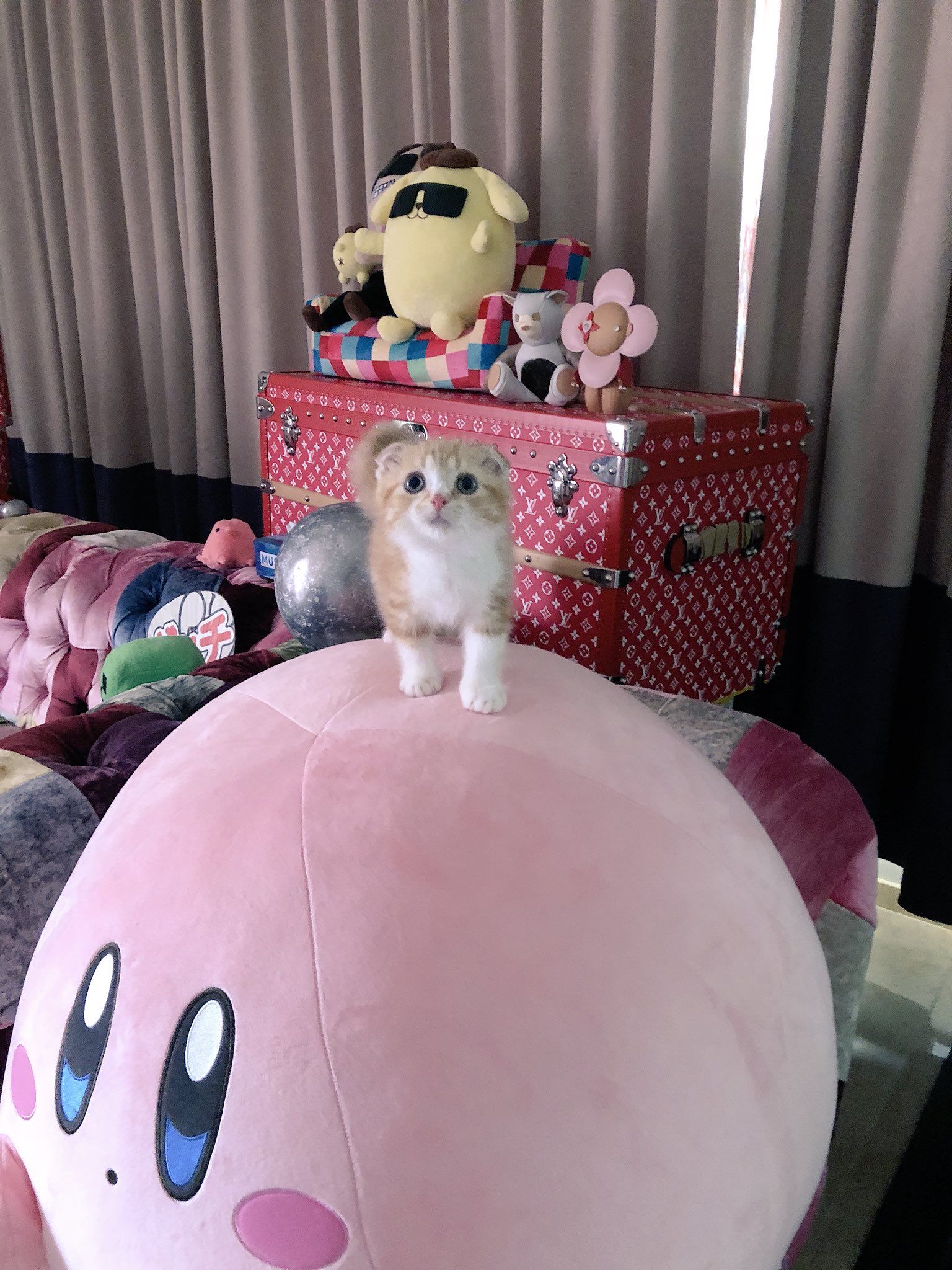 ヒカキン　HIKAKIN フクロウ　まねっこアニマルン　動作不可 ヒカキン HIKAKIN フクロウ まねっこアニマルン 動作不可 - メルカリ