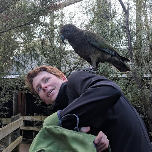 Will Stewart tweet media