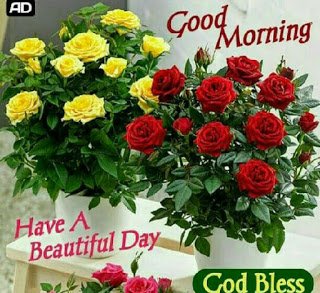 ranigill7's tweet photo. #HI FRIENDS GM 💐LOVE IS  LIFE.💐
❤️It’s better to be a lion for a day than a sheep all your life. Elizabeth Kenny.🌹
☺️Only a life lived for others is a life worthwhile. --Albert Einstein

🌹❤️FRIDAY☺️NEW DAY
#FRESH DAY 
#FRESH HOPES
#FRESHPLANS #CHEERS https://t.co/Wkx6TlONNd