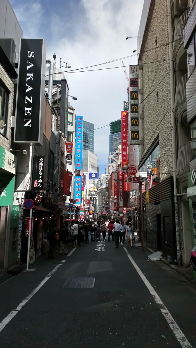 LisaMorgansVet's tweet photo. Hello #Japan. First day seeing the sights dressed as Mario in a #Gocart #MariCar #hereforwork @gwenthevet @Reyher_UofBVet https://t.co/OpA3zqlTLt