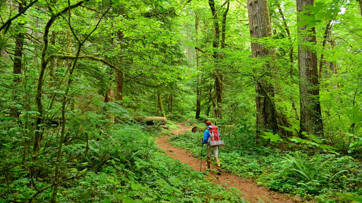 Help keep Oregon green. Follow these tips to prevent wildfires: keeporegongreen.org/prevent-wildfi… 

📷: Satoshi Eto
#KeepOregonGreen