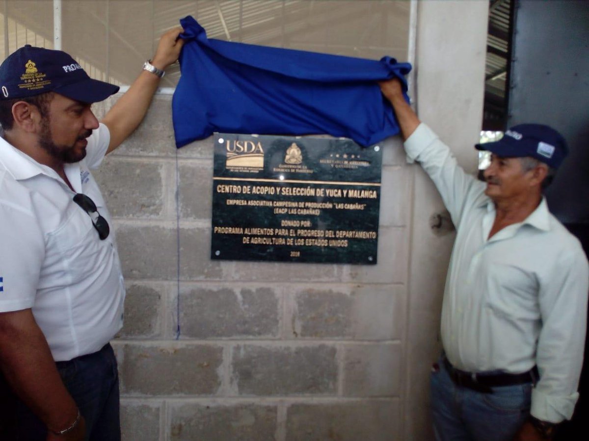 saghonduras's tweet photo. Para mejorar el potencial productivo y calidad de los productos, como un aporte a la vinculación de mercados, #SAG #PRONAGRO con el apoyo de #USDA, inauguró el Centro de Acopio de #Yuca y #Malanga para la poscosecha, ubicado en San Isidro, Santa Cruz de #Yojoa, Cortés https://t.co/Dc11meSKq7
