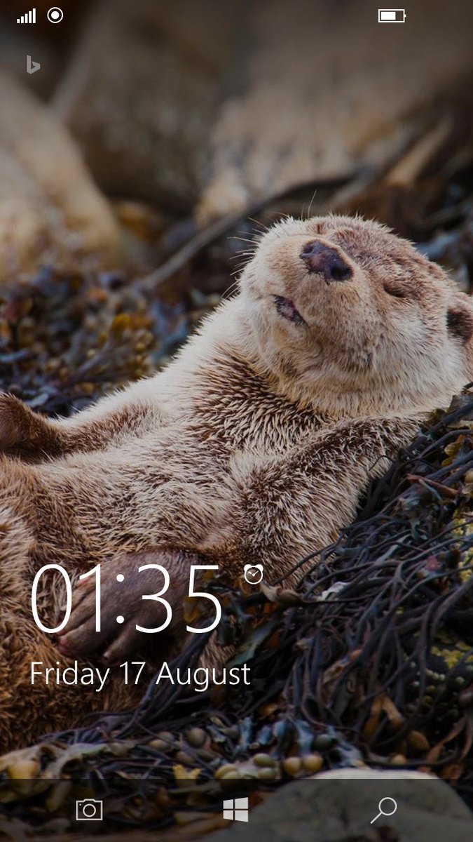 TojSoSlikite's tweet image. Вие твиткајте си, јас ќе спијам.
#ДобраНоќ
#Windows10 #Windows10Mobile #ScreenLock