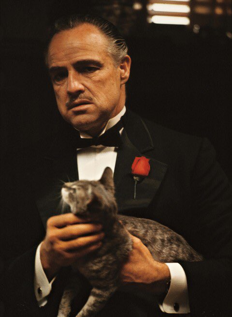 Happy birthday to my one and only Godfather @dorris_andrew