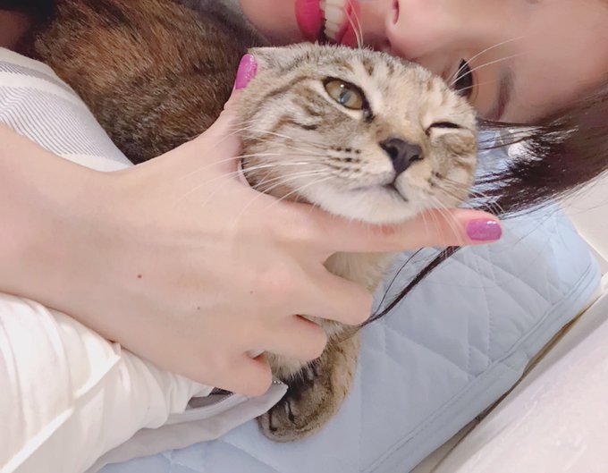 コスプレイヤー茶叶小果のTwitter画像56