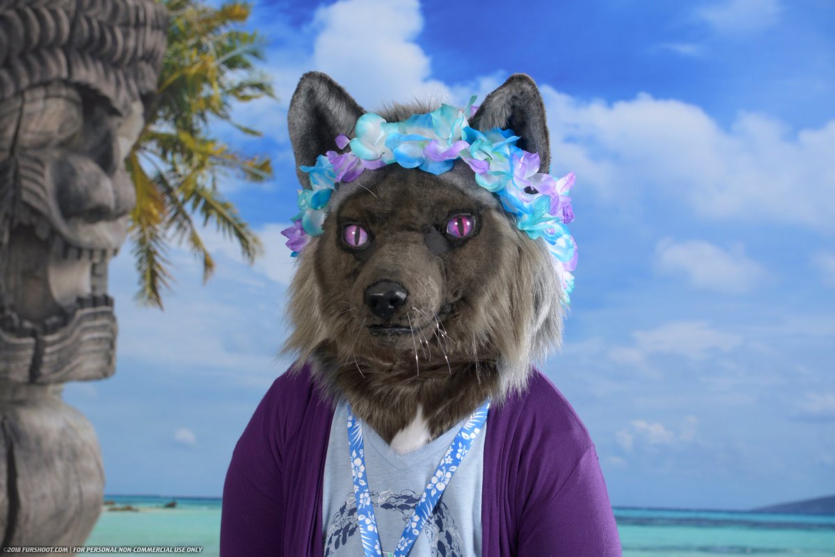 amaranth_18's tweet photo. More Megaplex photos! 🦊🌴🏖🥥 #MPlex2018 

📷 by @Furshootphoto https://t.co/6LANddMBQO