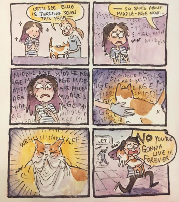 A recent vet visit ? #cats #mortality?! 