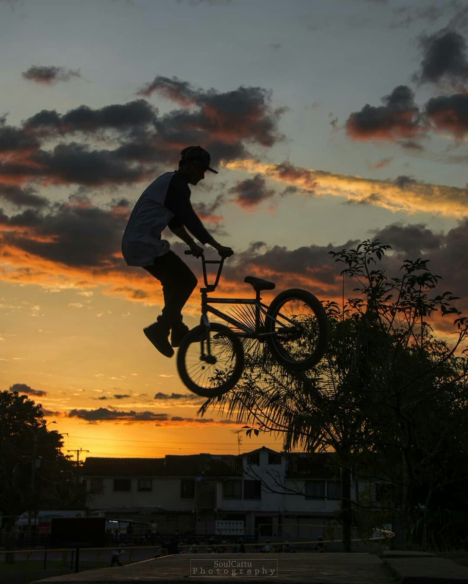 bmx whip
