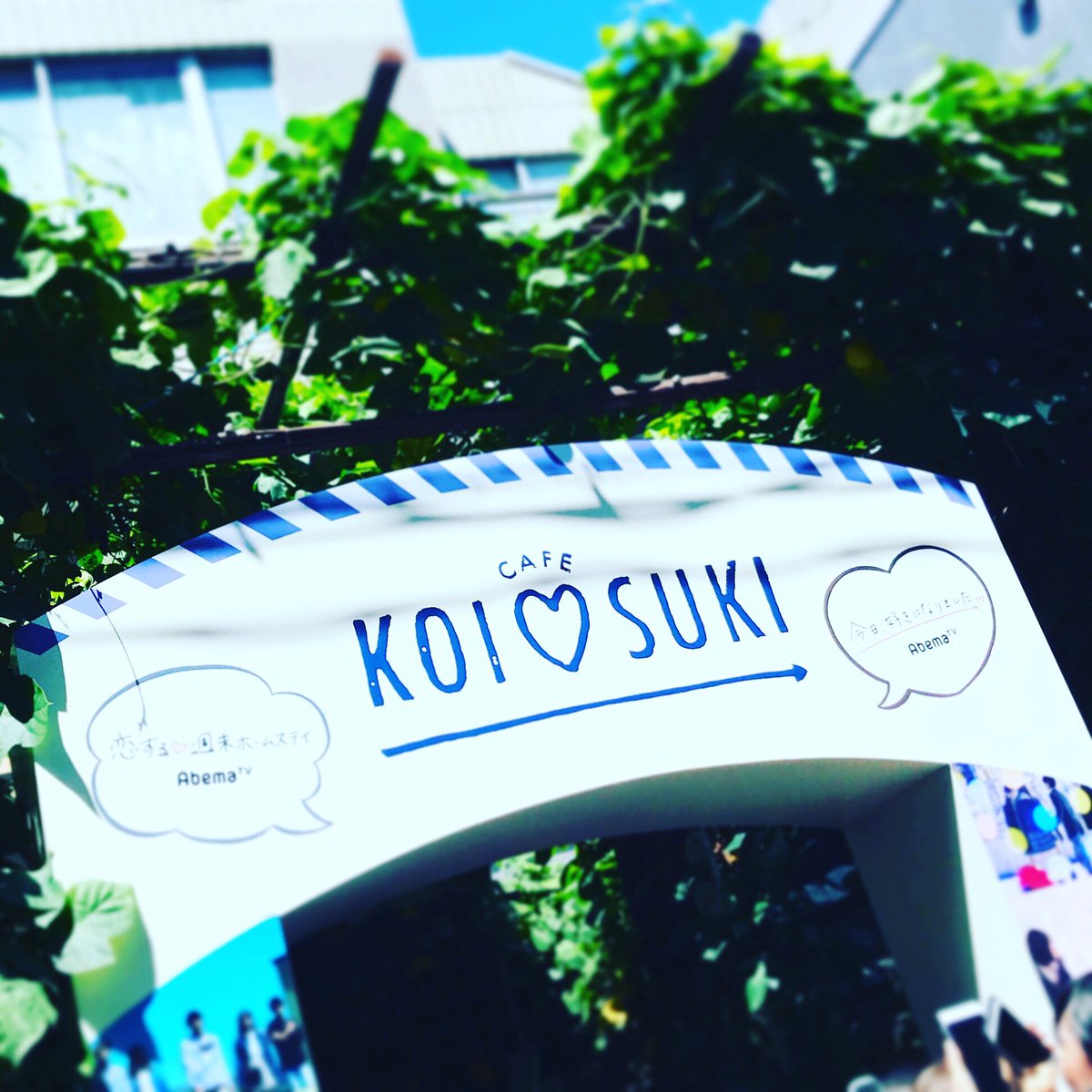 Lotta Hair Make Hairlotta ট ইট র