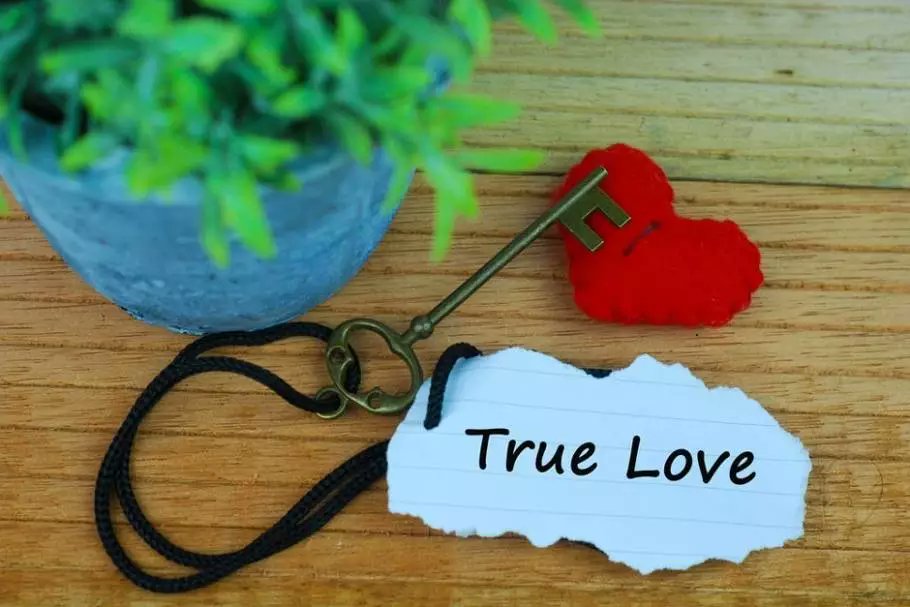 Love is true loving you. True love обложка. Love is true loving you. Love is true loving you. True love.
