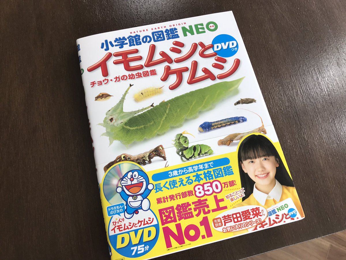 うみねこ博物堂 臨時休業中 通販やってます En Twitter 小学館の図鑑neo イモムシとケムシ が入荷しています なんと1 100種類の イモムシケムシを掲載 写真も大きいのでわかりやすい 大きいお友達も納得の出来です 素晴らしい