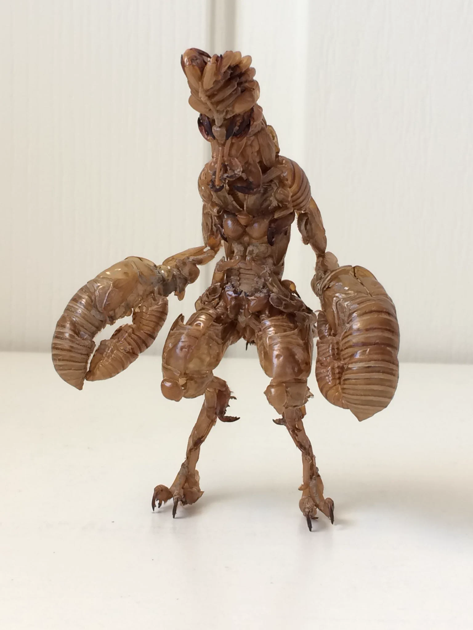 まさに大作！セミの抜け殻でバルタン星人を作ってみたｗｗｗ