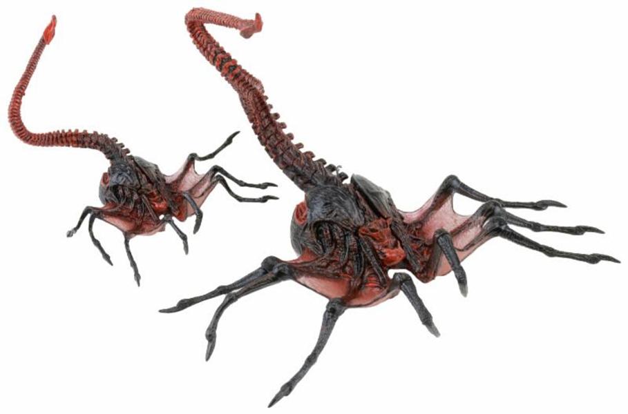 本部 長晴 على تويتر 2 でエイリアンの生態はほぼ確立された が 疑問が一つ 3 でクイーンのチェストバスターとそれを生み出すフェイスハガーはそれそれスーパーがつく特別なもので 大体百分の1という発生確率だとか ドロップシップに飛びついて 本部 長晴 على تويتر 2 でエイリアンの生態はほぼ確立された が 疑問が一つ 3 でクイーンのチェストバスターとそれを生み出すフェイスハガーはそれそれスーパーがつく特別なもので 大体百分の1という発生確率だとか ドロップシップに飛びついて