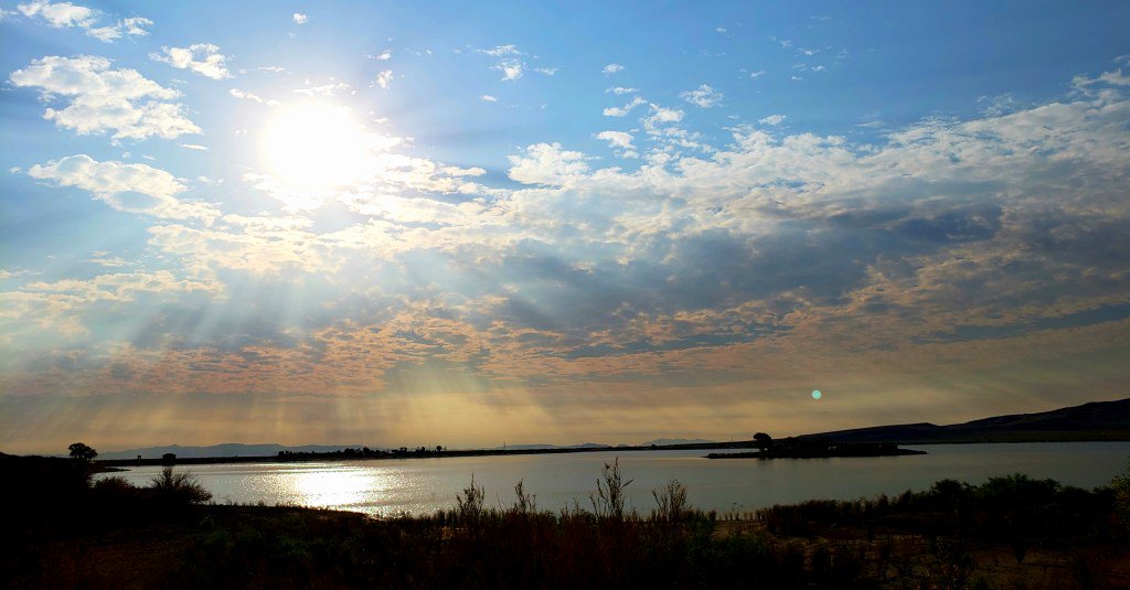 Sarah Lee tweet media